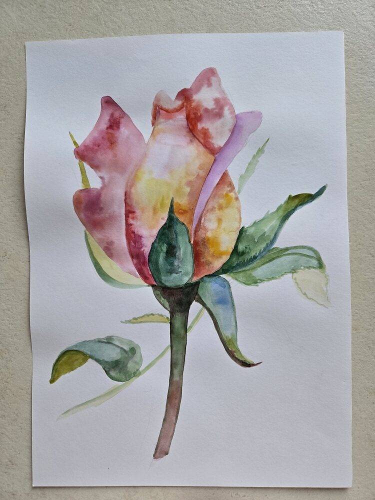 Курс 1